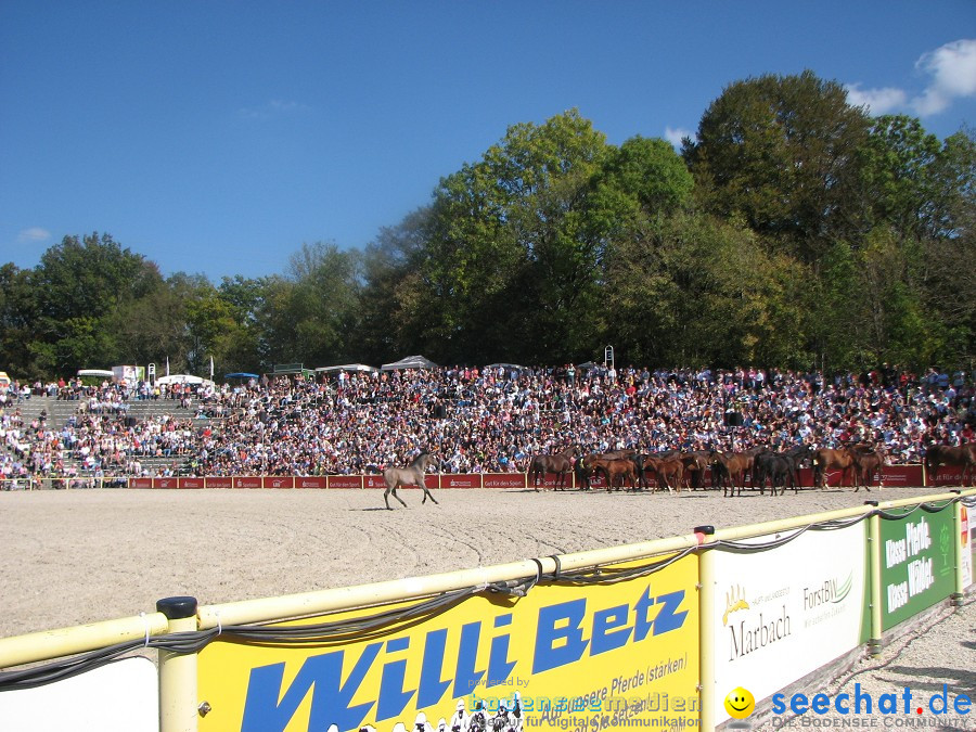 Hengstparade-Marbach-2011-03011-Bodensee-Community-SEECHAT_DE-_77.JPG