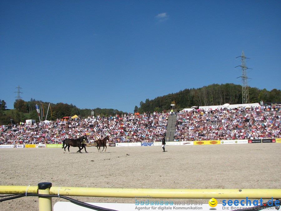 Hengstparade-Marbach-2011-03011-Bodensee-Community-SEECHAT_DE-_78.JPG