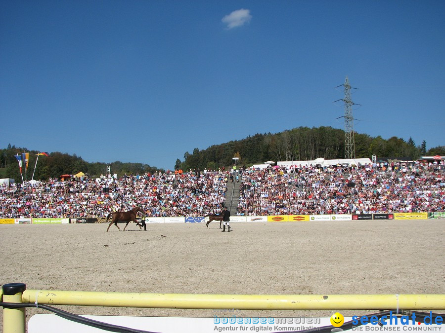 Hengstparade-Marbach-2011-03011-Bodensee-Community-SEECHAT_DE-_80.JPG