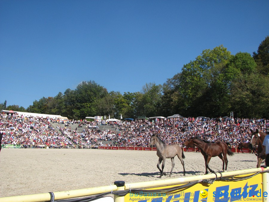 Hengstparade-Marbach-2011-03011-Bodensee-Community-SEECHAT_DE-_81.JPG