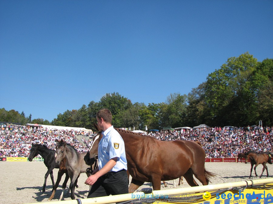 Hengstparade-Marbach-2011-03011-Bodensee-Community-SEECHAT_DE-_82.JPG