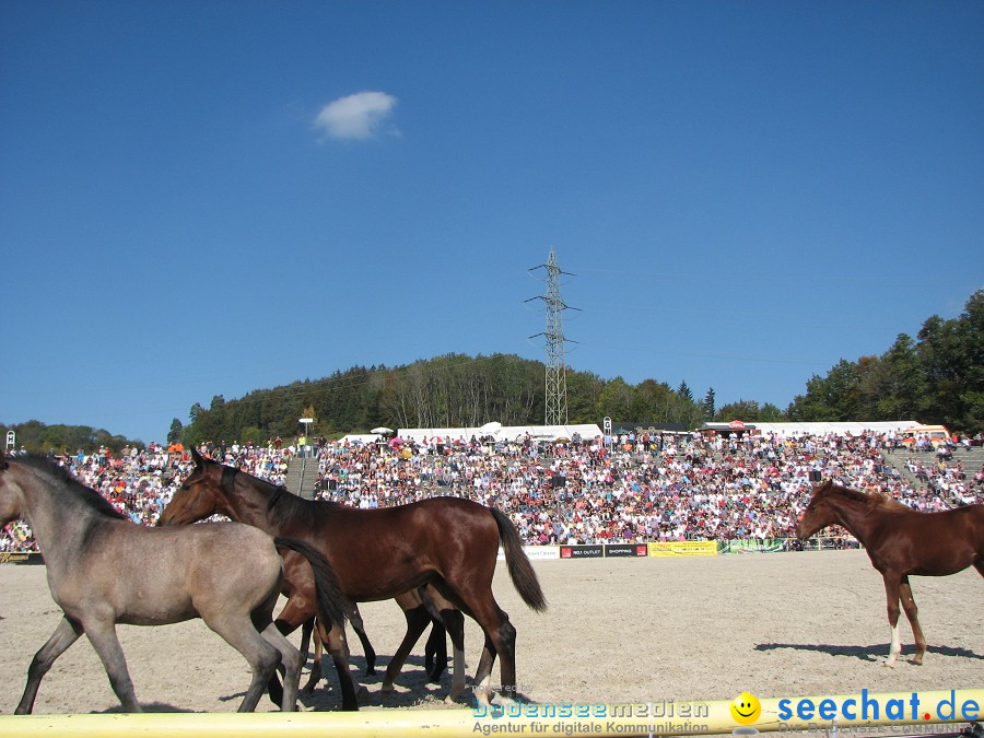 Hengstparade-Marbach-2011-03011-Bodensee-Community-SEECHAT_DE-_83.JPG