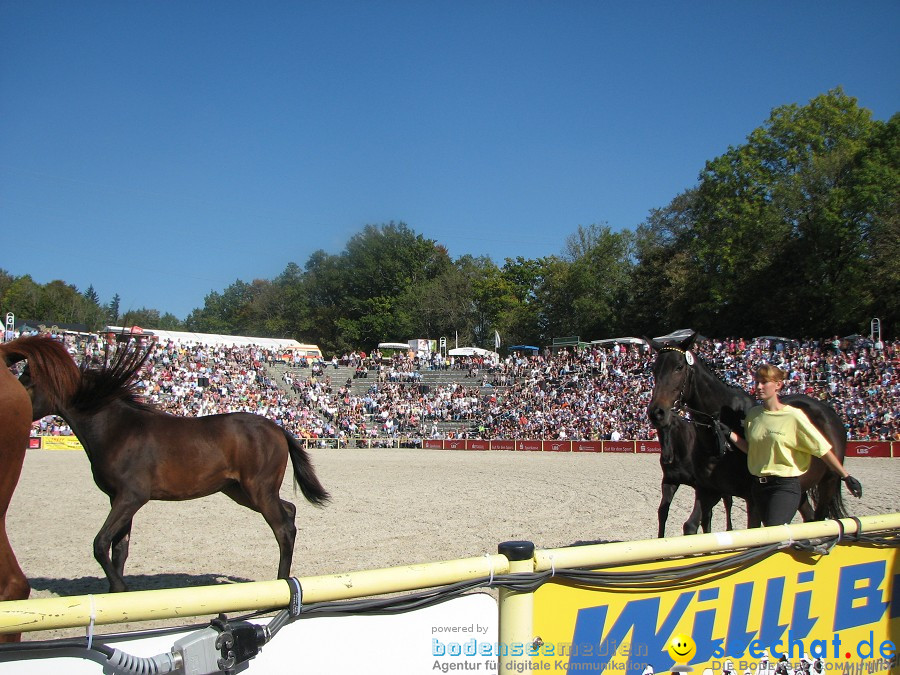 Hengstparade-Marbach-2011-03011-Bodensee-Community-SEECHAT_DE-_84.JPG