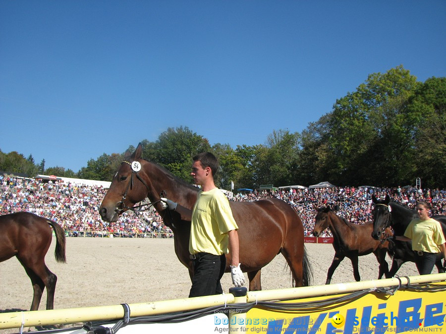 Hengstparade-Marbach-2011-03011-Bodensee-Community-SEECHAT_DE-_87.JPG