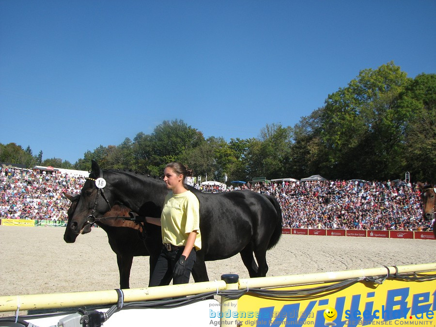 Hengstparade-Marbach-2011-03011-Bodensee-Community-SEECHAT_DE-_88.JPG