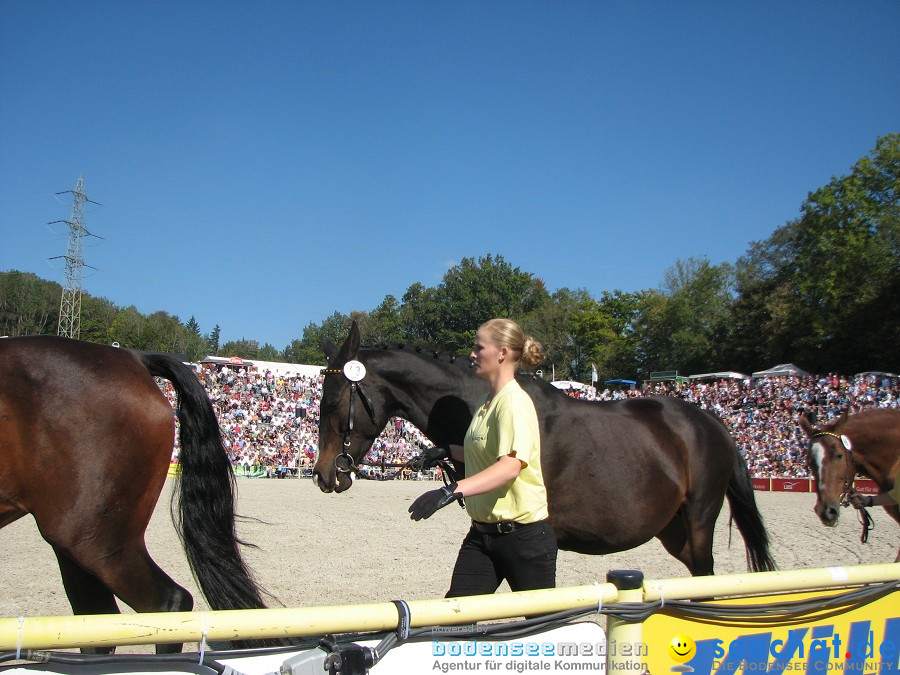 Hengstparade-Marbach-2011-03011-Bodensee-Community-SEECHAT_DE-_93.JPG