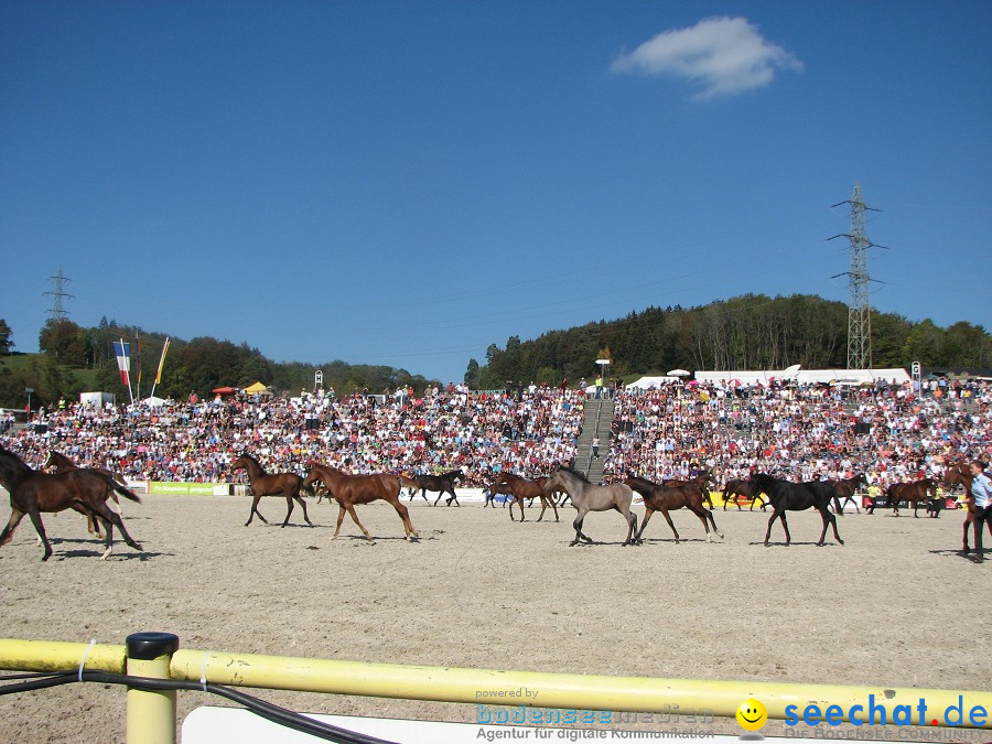 Hengstparade-Marbach-2011-03011-Bodensee-Community-SEECHAT_DE-_95.JPG