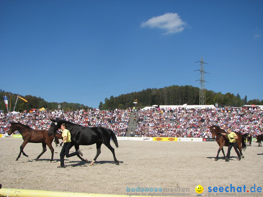 Hengstparade-Marbach-2011-03011-Bodensee-Community-SEECHAT_DE-_96.JPG