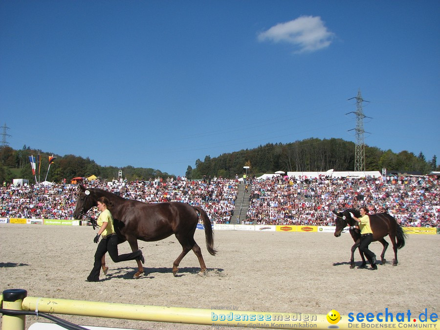 Hengstparade-Marbach-2011-03011-Bodensee-Community-SEECHAT_DE-_97.JPG