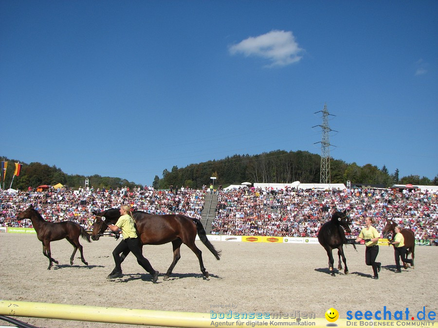 Hengstparade-Marbach-2011-03011-Bodensee-Community-SEECHAT_DE-_98.JPG