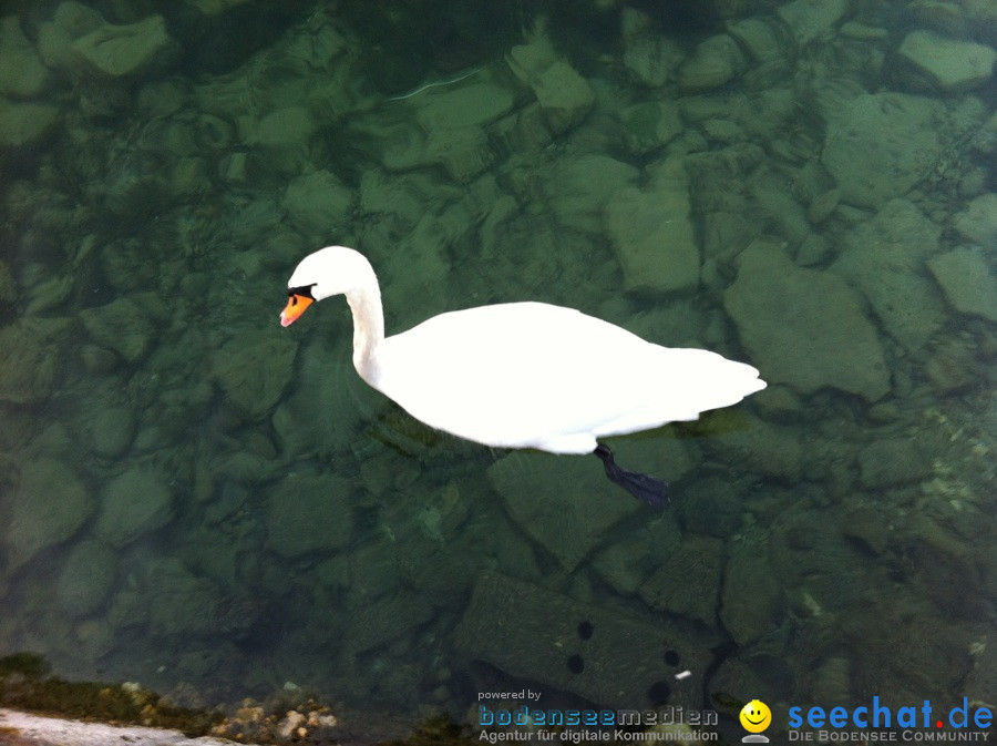 Verkaufsoffener Sonntag: Konstanz am Bodensee, 24.10.2011