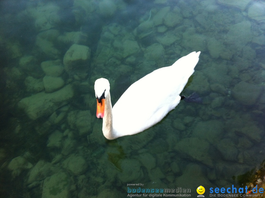 Verkaufsoffener Sonntag: Konstanz am Bodensee, 24.10.2011