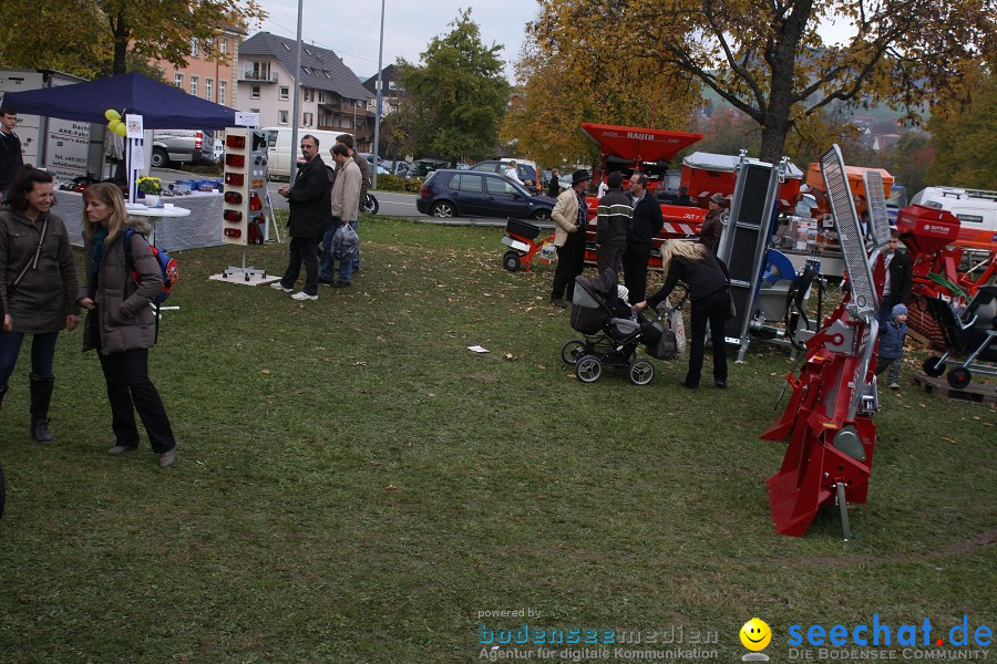 Schaetzlemarkt 2011: Tengen am Bodensee, 30.10.2011