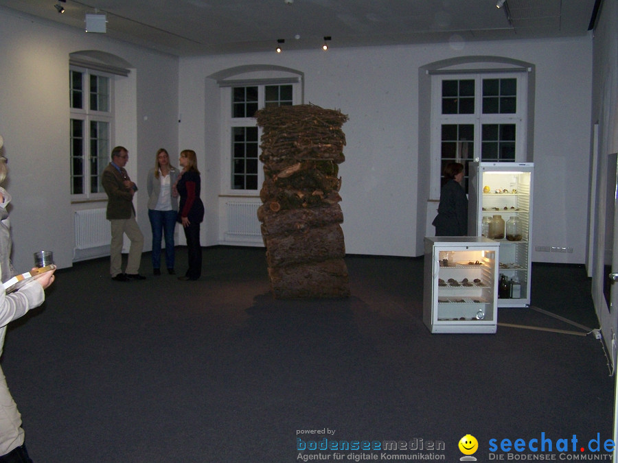 Vernissage-Braeg-Bad-Schussenried-171111-Bodensee-Community-SEECHAT-DE_75.JPG