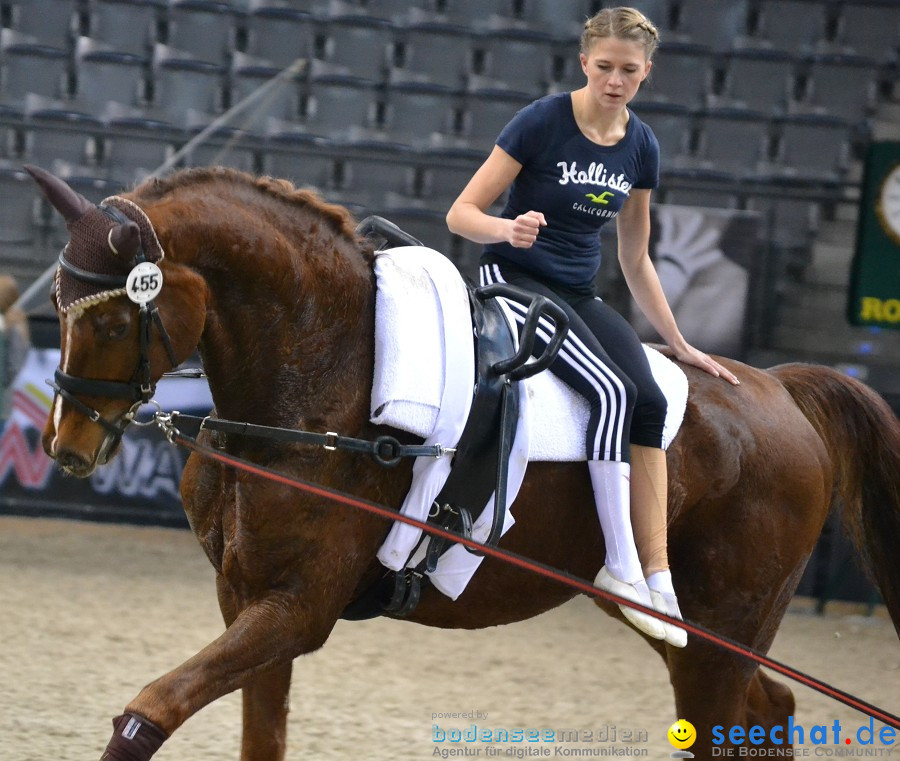 GERMAN MASTERS: Internationales Reitturnier: Stuttgart, 19.11.2011