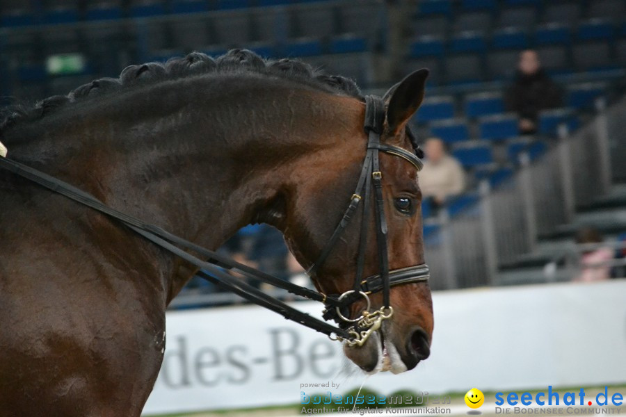 GERMAN MASTERS: Internationales Reitturnier: Stuttgart, 19.11.2011