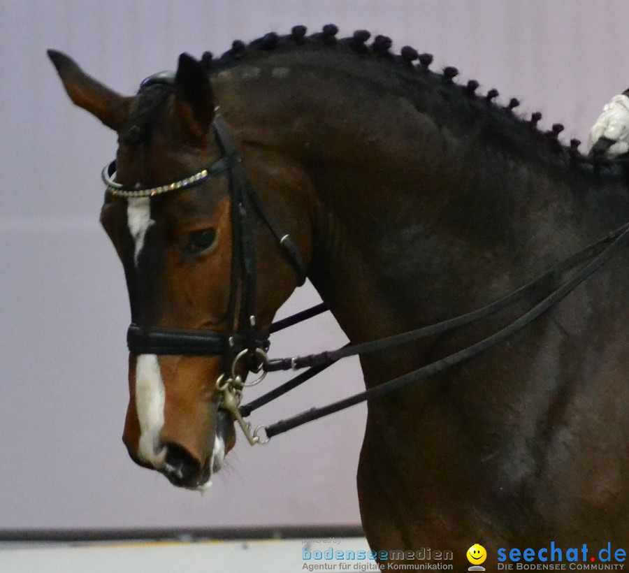 GERMAN MASTERS: Internationales Reitturnier: Stuttgart, 19.11.2011