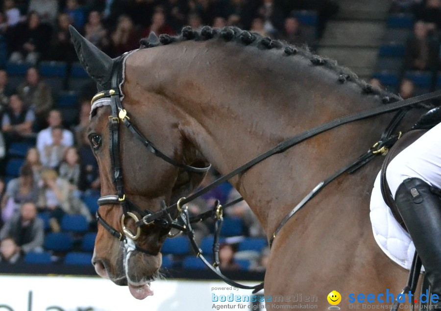 GERMAN MASTERS: Internationales Reitturnier: Stuttgart, 19.11.2011