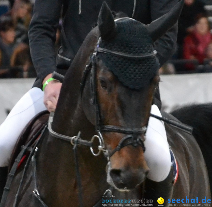 GERMAN MASTERS: Internationales Reitturnier: Stuttgart, 19.11.2011