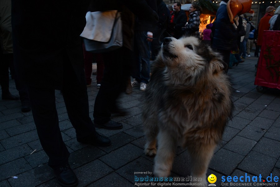 seechat.de Community-Treffen am 11.12.2011 in Konstanz am Bodensee