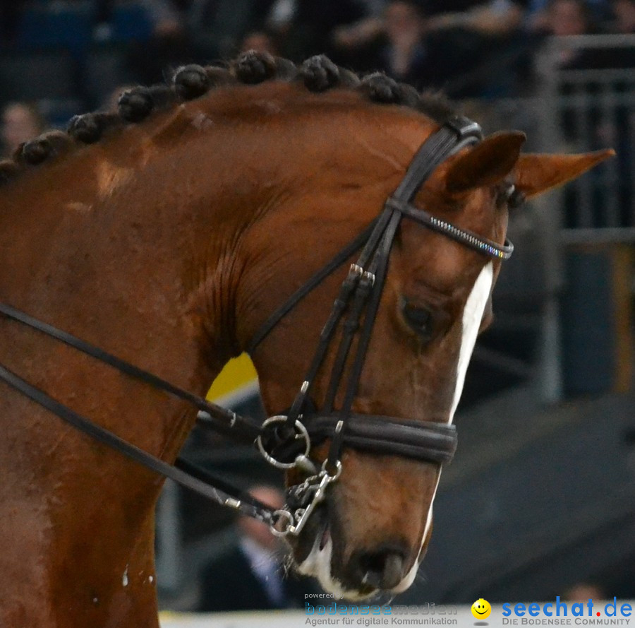 GERMAN MASTERS: Internationales Reitturnier: Stuttgart, 19.11.2011