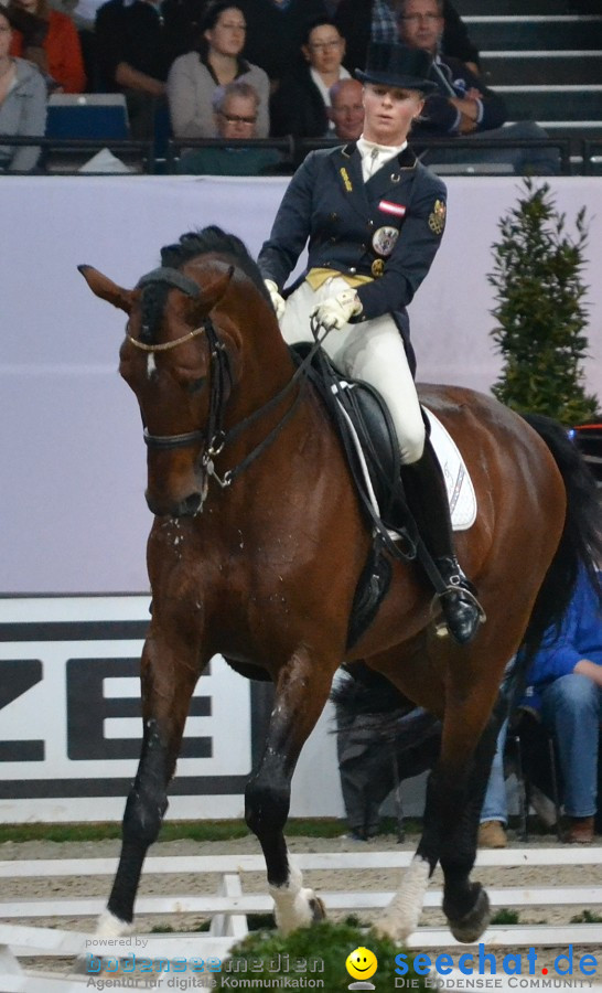 GERMAN MASTERS: Internationales Reitturnier: Stuttgart, 19.11.2011