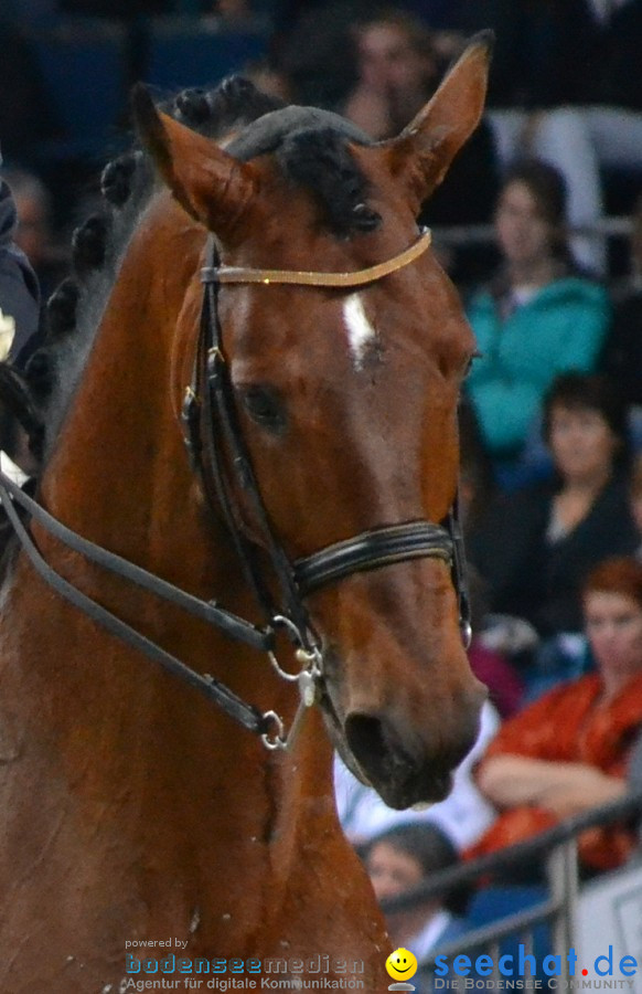 GERMAN MASTERS: Internationales Reitturnier: Stuttgart, 19.11.2011