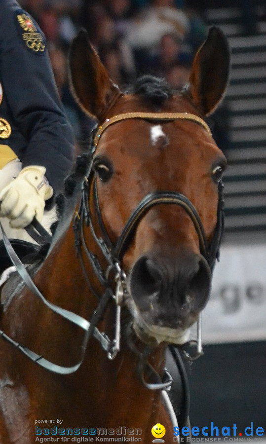 GERMAN MASTERS: Internationales Reitturnier: Stuttgart, 19.11.2011