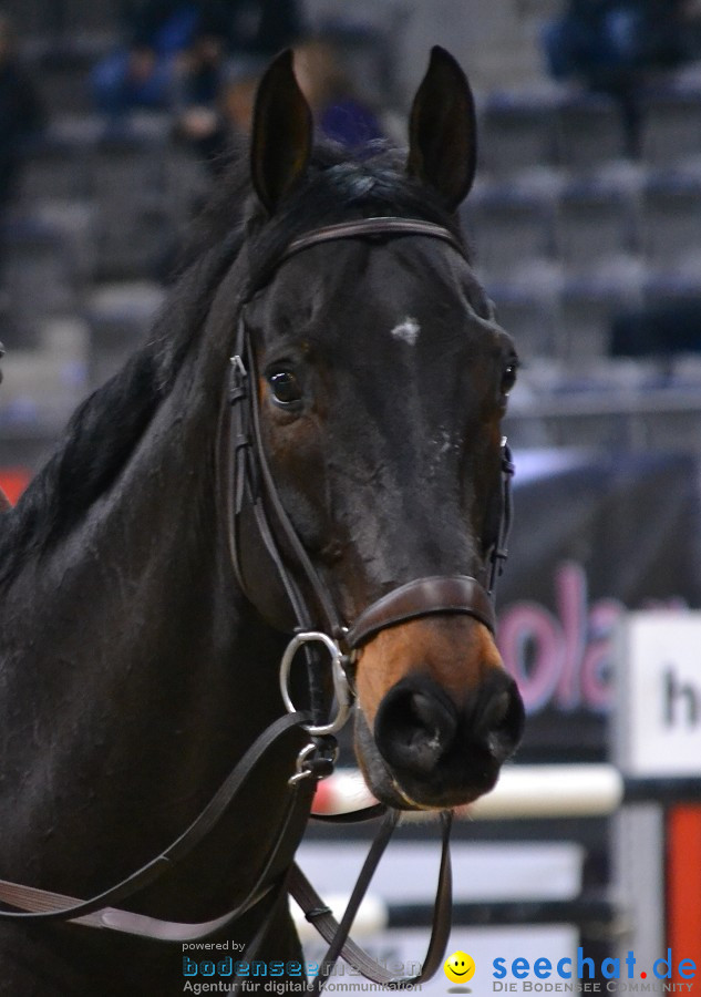 GERMAN MASTERS: Internationales Reitturnier: Stuttgart, 19.11.2011