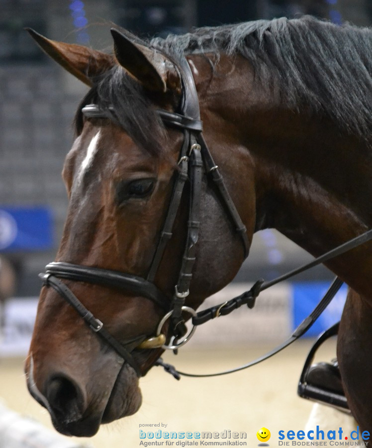 GERMAN MASTERS: Internationales Reitturnier: Stuttgart, 19.11.2011