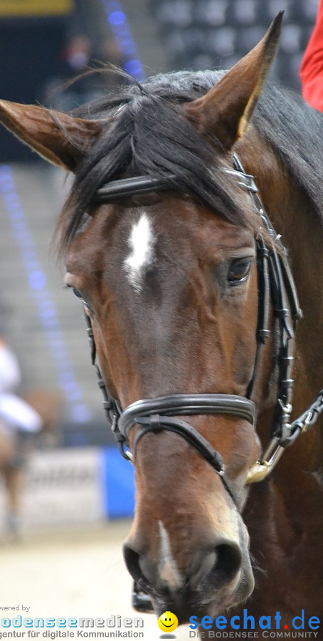 GERMAN MASTERS: Internationales Reitturnier: Stuttgart, 19.11.2011