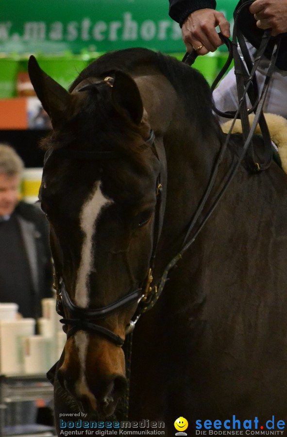 GERMAN MASTERS: Internationales Reitturnier: Stuttgart, 19.11.2011