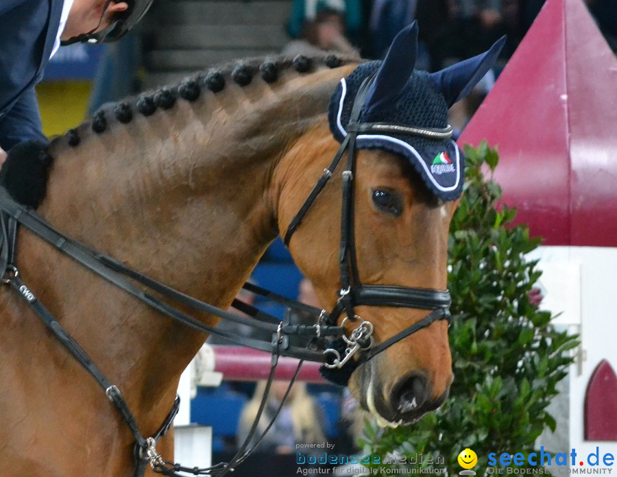 GERMAN MASTERS: Internationales Reitturnier: Stuttgart, 19.11.2011