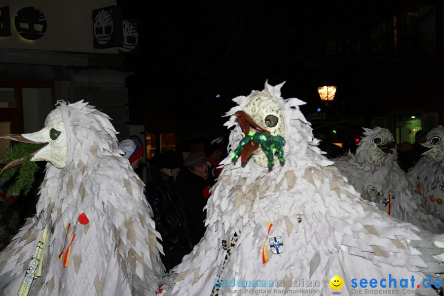 Nachtumzug-Konstanz-20012012-Bodensee-Community-Seechat_de_309.jpg