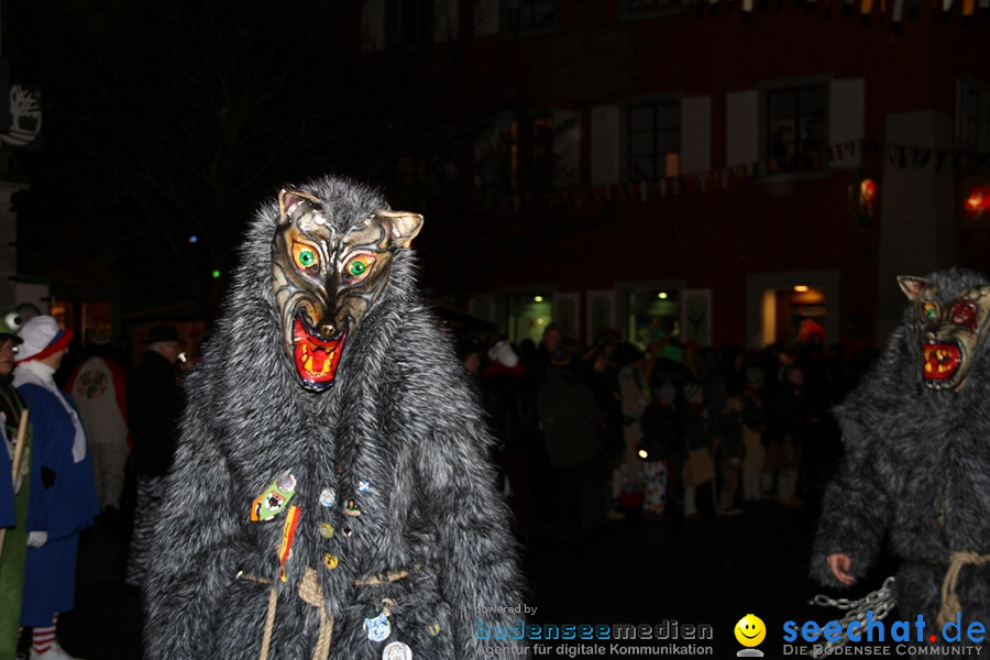 Nachtumzug-Konstanz-20012012-Bodensee-Community-Seechat_de_40.jpg