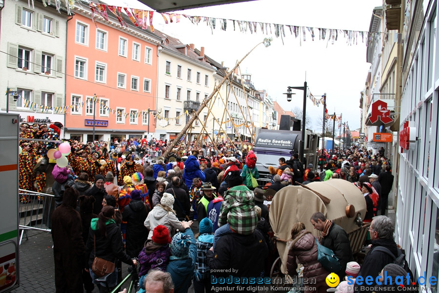 Narrentreffen-Konstanz-21012012-Bodensee-Community-Seechat_DE_11.jpg