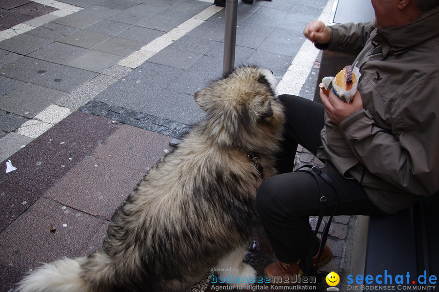 Narrentreffen-Konstanz-21012012-Bodensee-Community-Seechat_DE_55.jpg