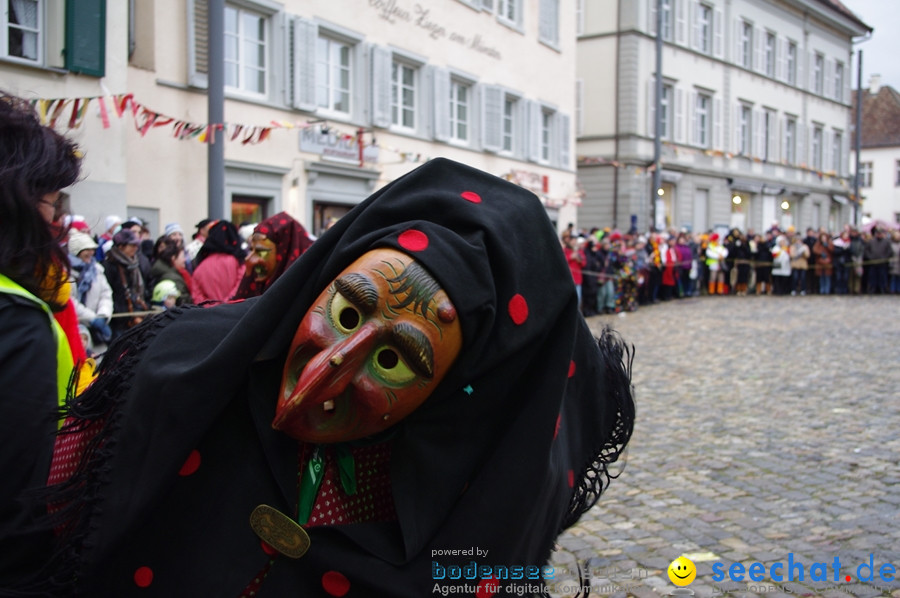 Narrentreffen-Konstanz-21012012-Bodensee-Community-Seechat_DE_95.jpg