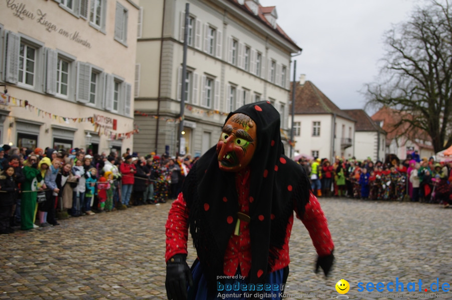 Narrentreffen-Konstanz-21012012-Bodensee-Community-Seechat_DE_96.jpg