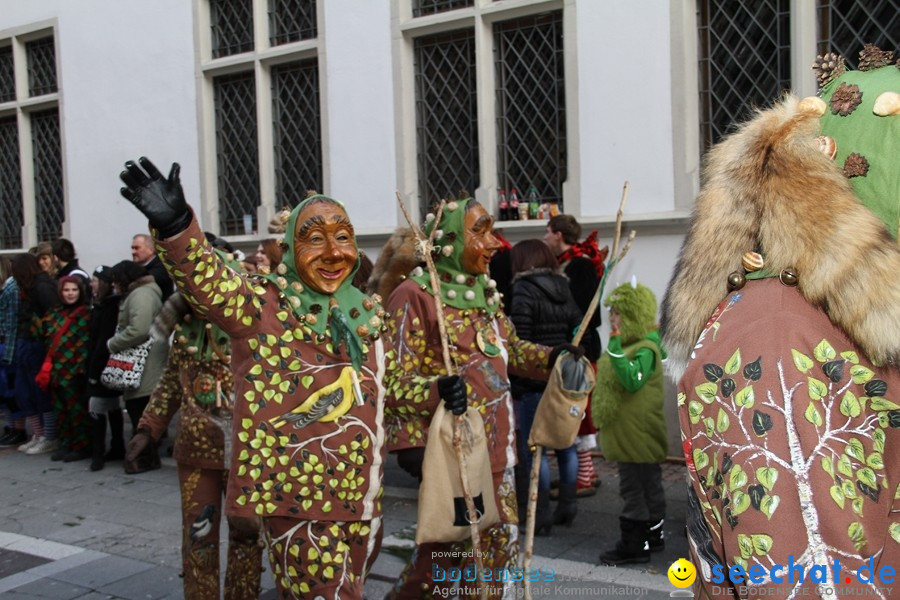 Narrenumzug - Grosses Narrentreffen in Konstanz am Bodensee, 22.01.2012