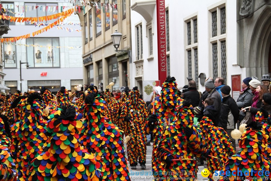 Narrenumzug - Grosses Narrentreffen in Konstanz am Bodensee, 22.01.2012