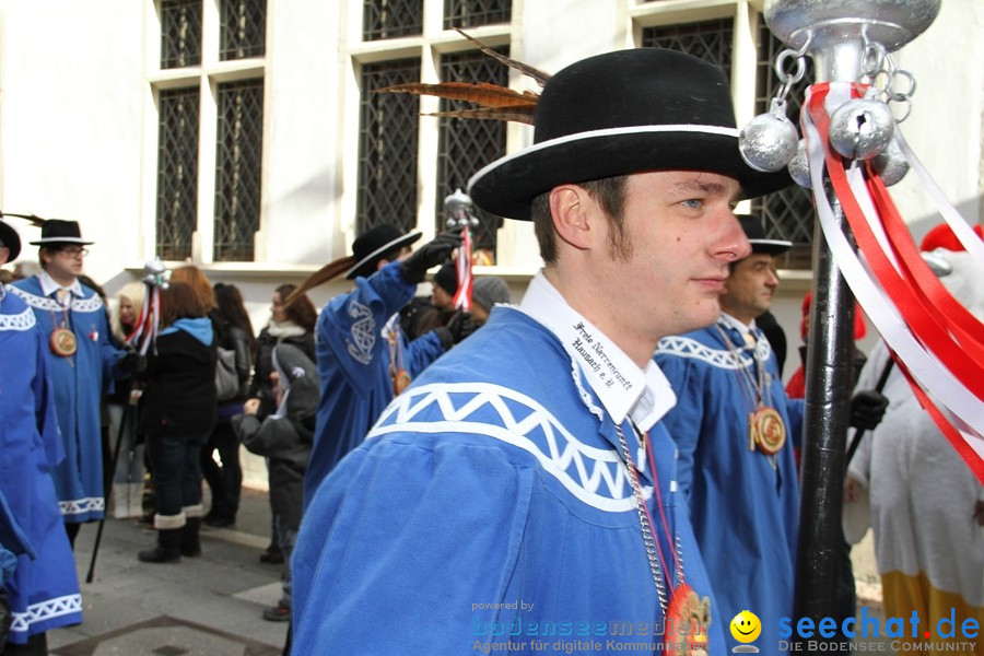 Narrenumzug - Grosses Narrentreffen in Konstanz am Bodensee, 22.01.2012