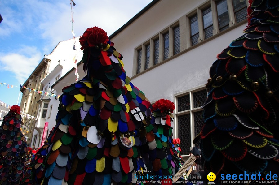 Narrenumzug - Grosses Narrentreffen in Konstanz am Bodensee, 22.01.2012