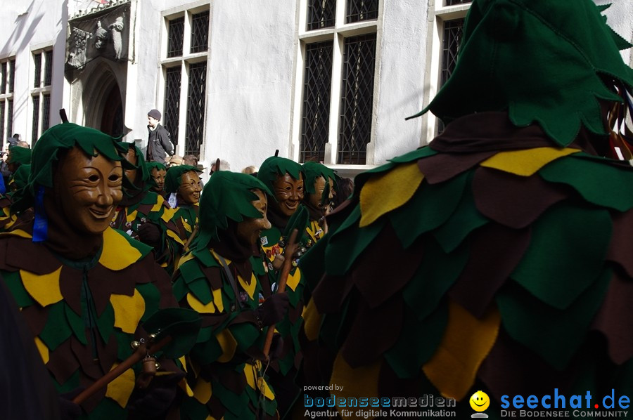 Narrenumzug - Grosses Narrentreffen in Konstanz am Bodensee, 22.01.2012