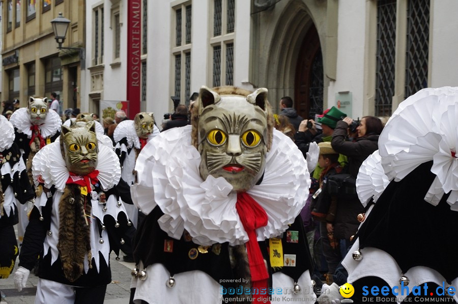 Narrenumzug - Grosses Narrentreffen in Konstanz am Bodensee, 22.01.2012