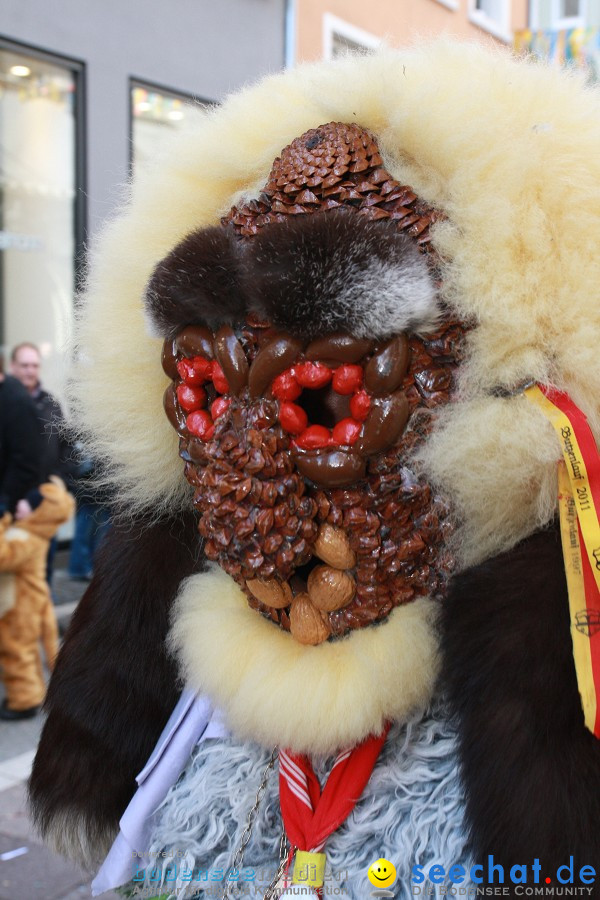 Narrenumzug - Grosses Narrentreffen in Konstanz am Bodensee, 22.01.2012