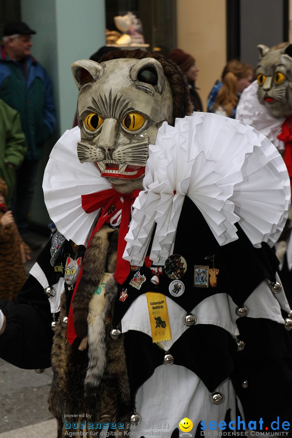 Narrenumzug - Grosses Narrentreffen in Konstanz am Bodensee, 22.01.2012