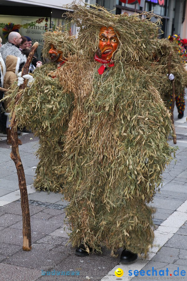 Narrenumzug - Grosses Narrentreffen in Konstanz am Bodensee, 22.01.2012