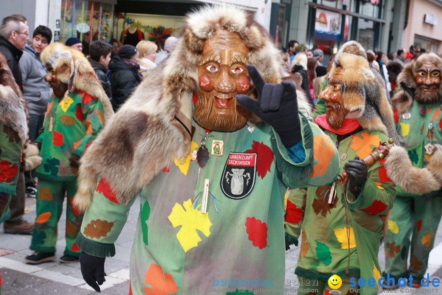 Narrenumzug - Grosses Narrentreffen in Konstanz am Bodensee, 22.01.2012