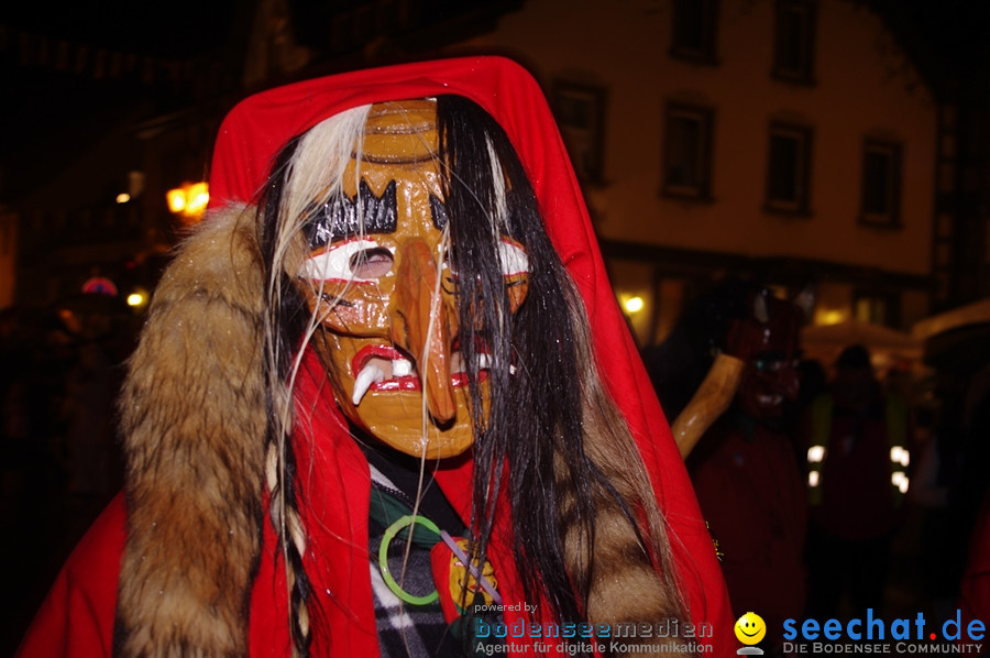 Fasnet Nachtumzug: Rielasingen am Bodensee, 27.01.2012